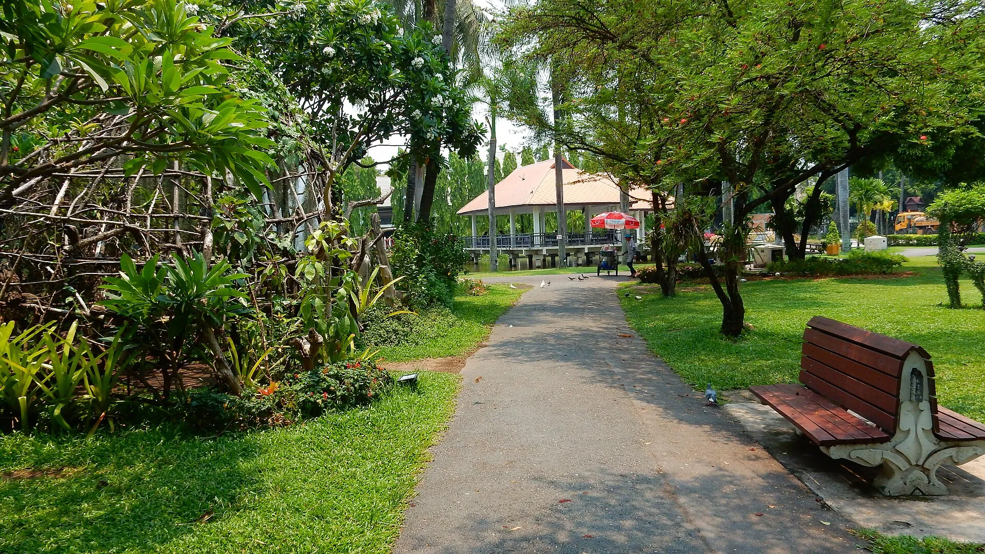 Falun Dafa Chiang Mai