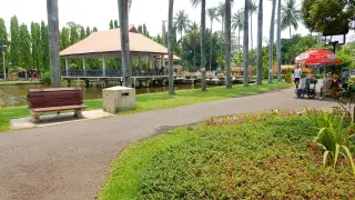 Falun Dafa Chiang Mai — รูปที่ 2