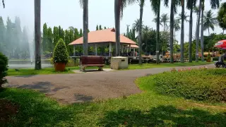 Falun Dafa Chiang Mai — รูปที่ 3