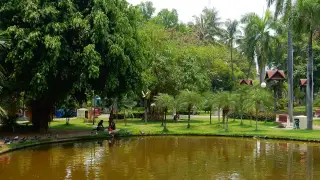 Falun Dafa Chiang Mai — รูปที่ 4