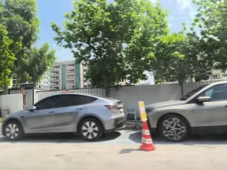 Tatilcikuş