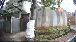 Darul Quran Indonesia