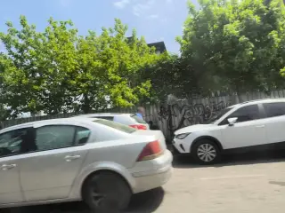 Prof. Dr. Sait EĞRİLMEZ