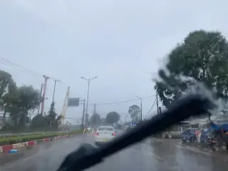 Tôn Hoa Sen Bà Rịa 2