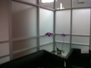 Embassy of Algeria in Jakarta