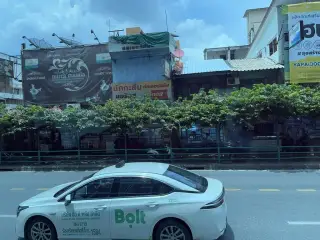 ping ping massage