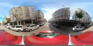 Foody Restaurant