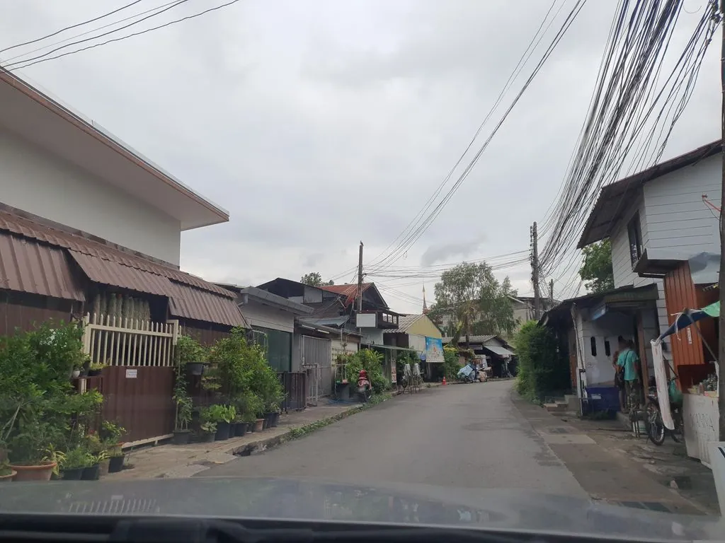 Cat House Chiangmai Thailand