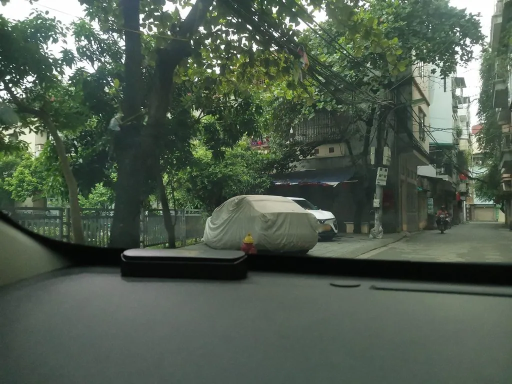 Mầm Non Sao Mai