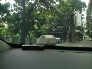 Mầm Non Sao Mai