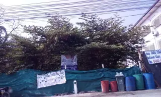 Yang Chis Saphan Him