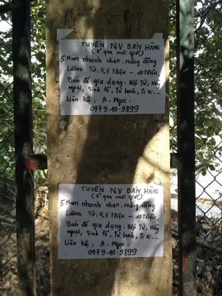 HH Linh Đàm — photo 2