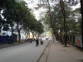 HH Linh Đàm — photo 3