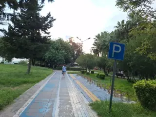 Kedi Parkı