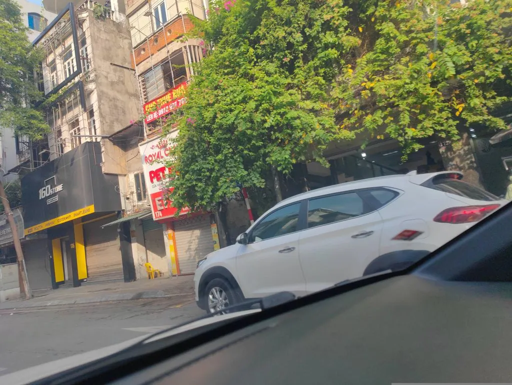 Đế bánh pizza nghĩa