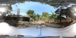 Sop Gaul
