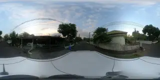 Bali Big Bully