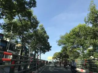 Trường Tiểu Học Nguyễn Thi
