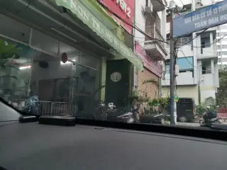 Màn Chụp Tự Bung Kiều Phi - 0963.325.228