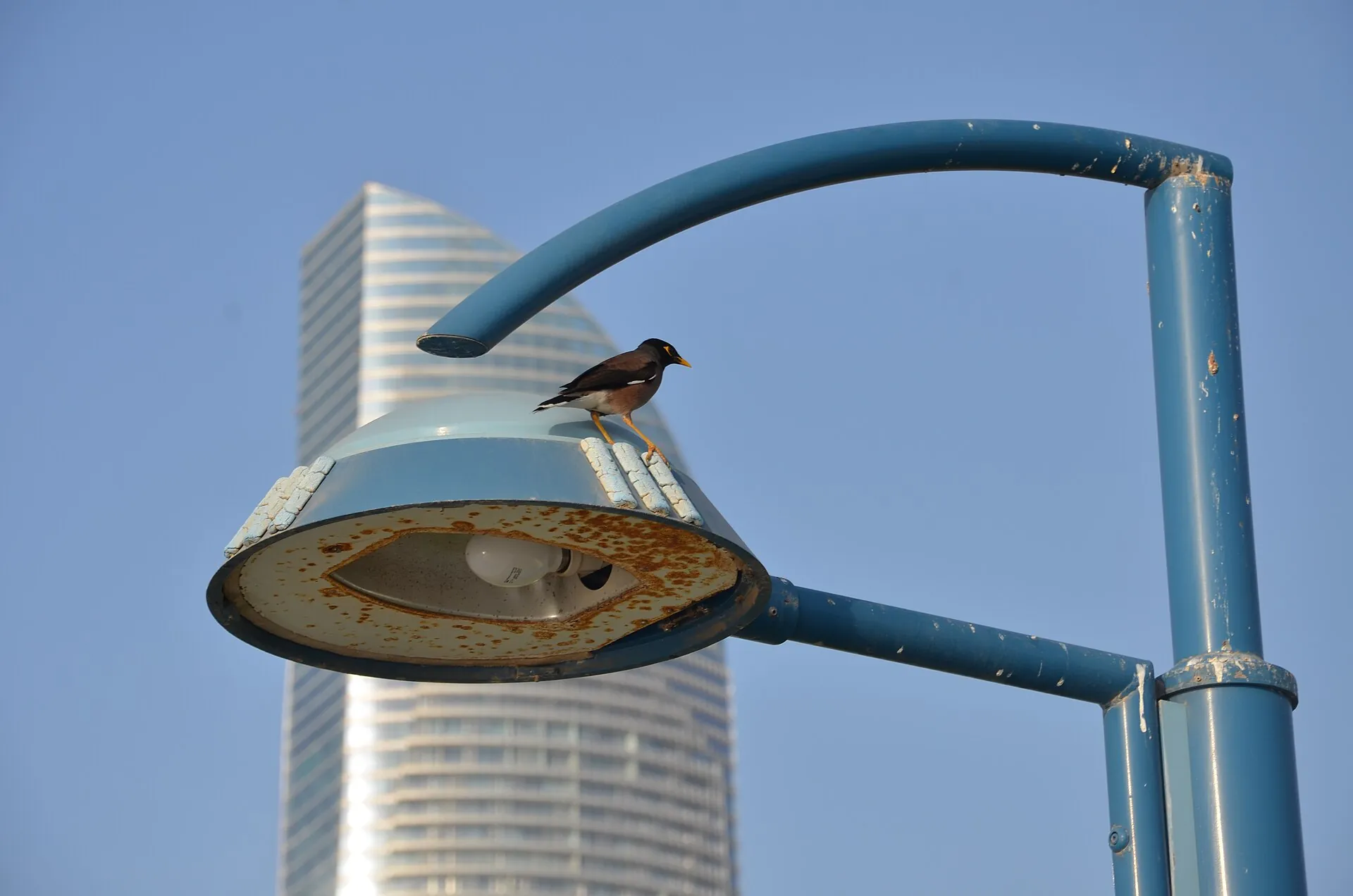 Jctgbtg Abu Dhabi Extension
