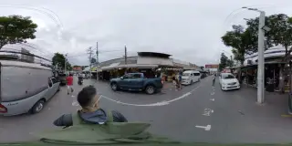 Lady & Toki