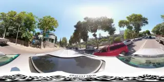 Paz bar