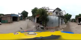 Macadamia Vietnam