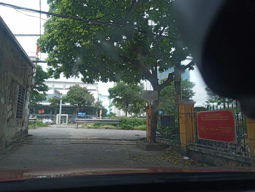 Việt Nam chính nhất quán