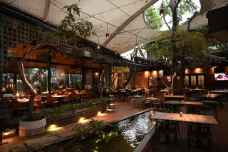YOLO Bar and Garden