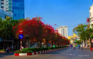 Phòng Khám Việt Xô — photo 2