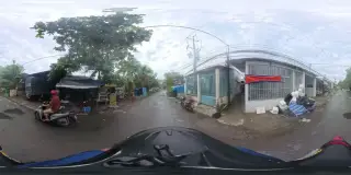 Thẫm mỹ phượng yến