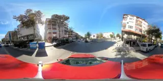 Şok