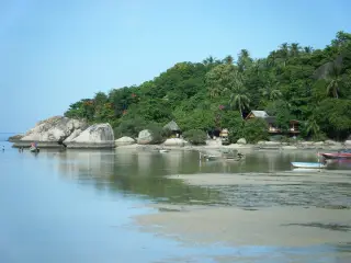 Barracuda on the Beach