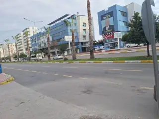 Kaktusdekorasyon