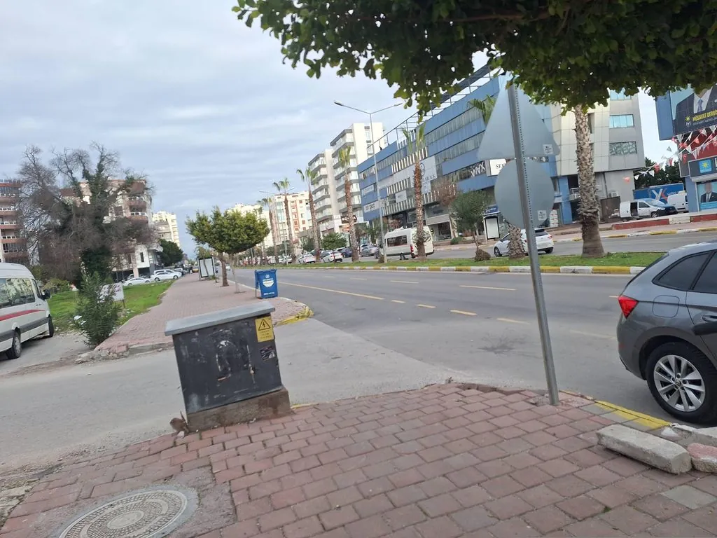 Finansal sigorta