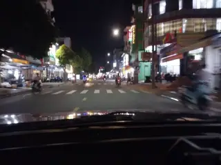 Trang Tri Lan Vi