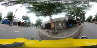 Mầm Non Hoa Sen Hồng