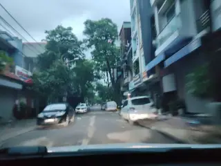 Tree Spa