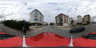 Şok