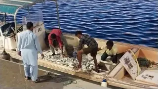 Boat Seafood Restaurant /mtʿm almrkb llmakwlat albhryt