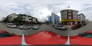 Şok