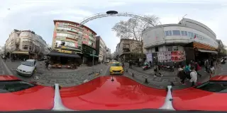 Mosquito