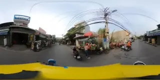 Cá Cảnh Tân Tân