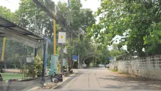 ชาพะยอม-ตลาดเทพมงคล ช่างเคี่ยน