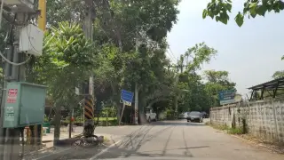 กระเพราเข่งตามสั่ง