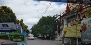 มิณหมึกย่าง