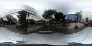 Seilera