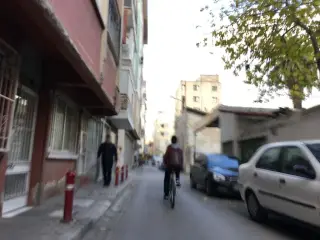Yerdeniz Kitapçısı