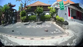 Balibtours