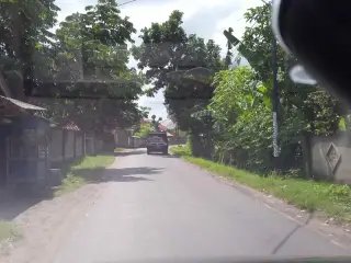 sinikelombok